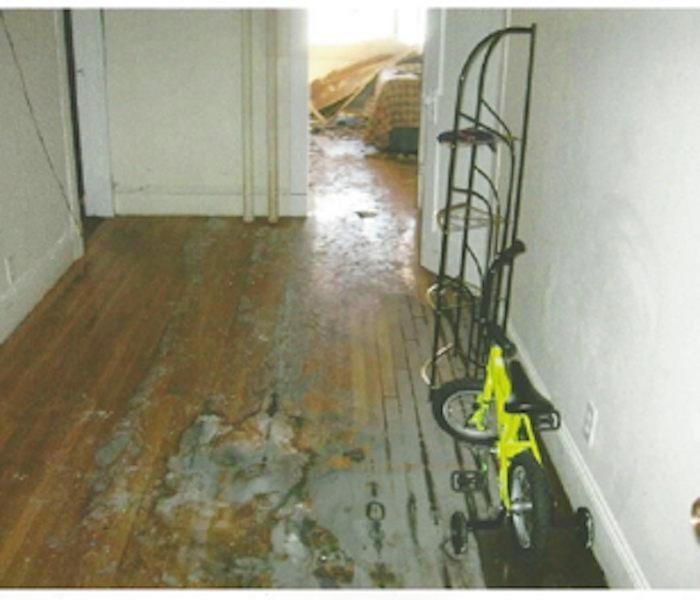 hardwood floor with mold damage