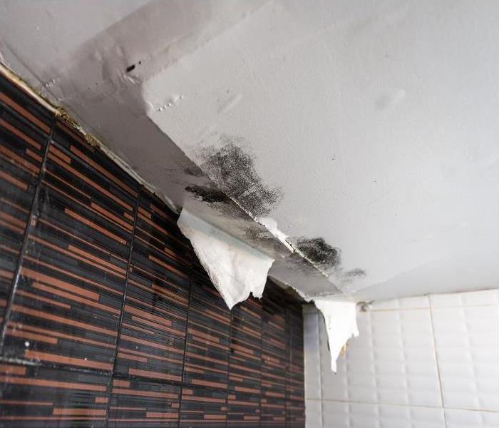 mod damage on a white ceiling tearing and falling from water damage