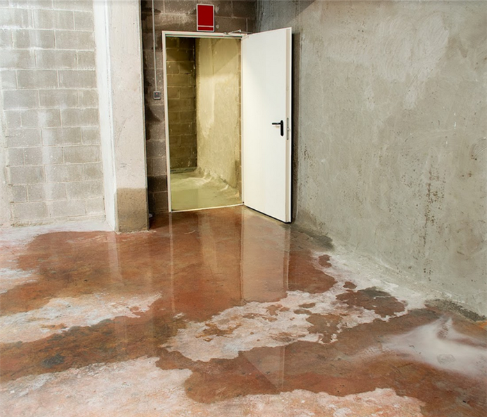 a water damaged basement with puddles of water covering the concrete floor