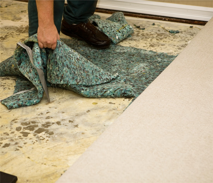 a person removing water damaged carpet from the floor of a house