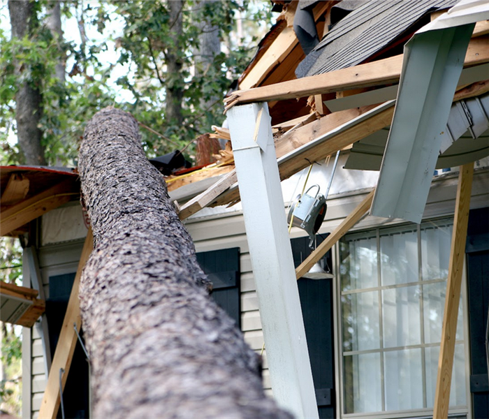 a tree trunk that has fallen onto the roof of a house