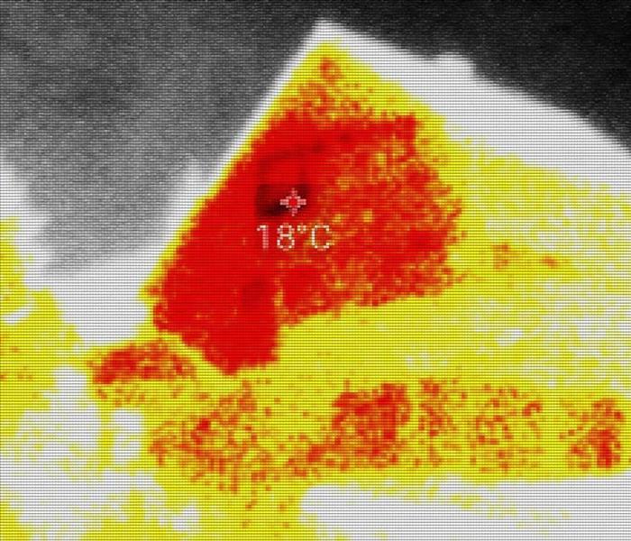 infrared view of a home