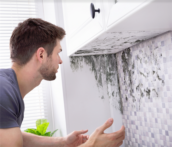 a man finding mold under a cabinet